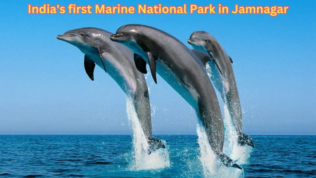 Marine National Park in Jamnagar