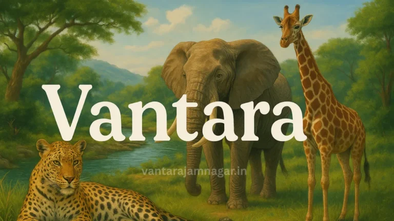 Vantara Project