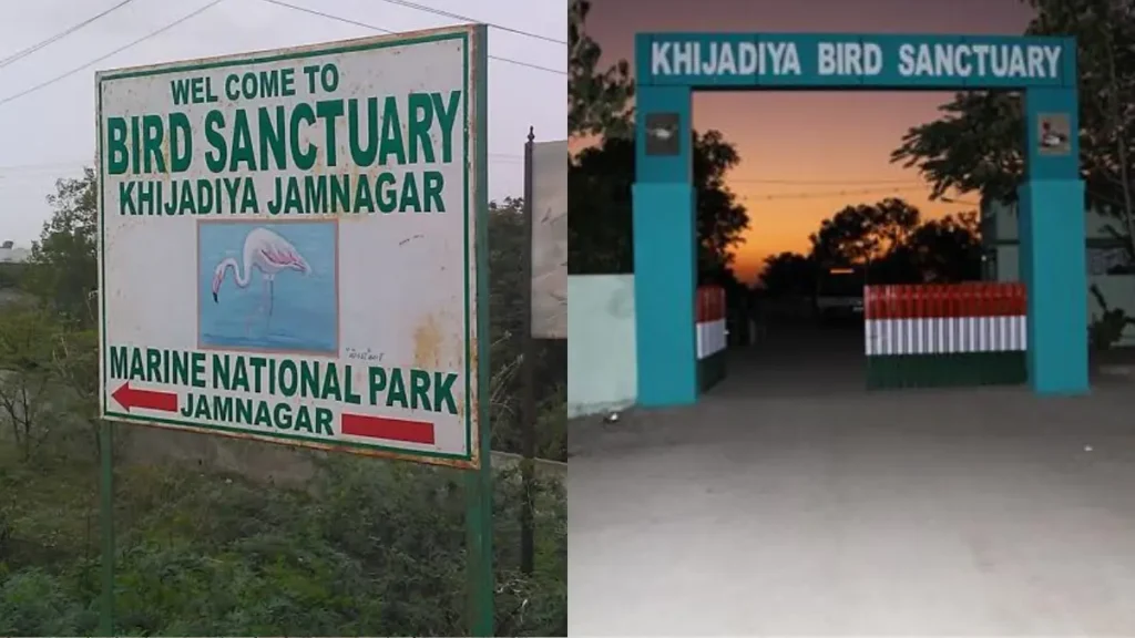 Khijadiya Bird Sanctuary