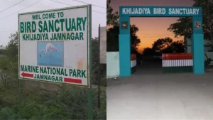 Khijadiya Bird Sanctuary