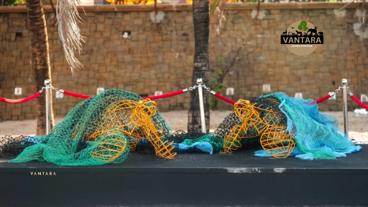 Vantara Animal Rescue Centre Jamnagar