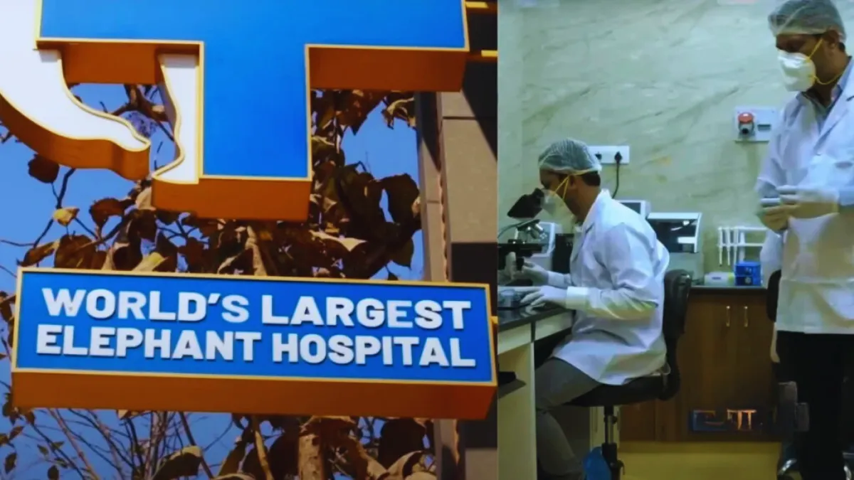 Vantara is the largest zoo in the world