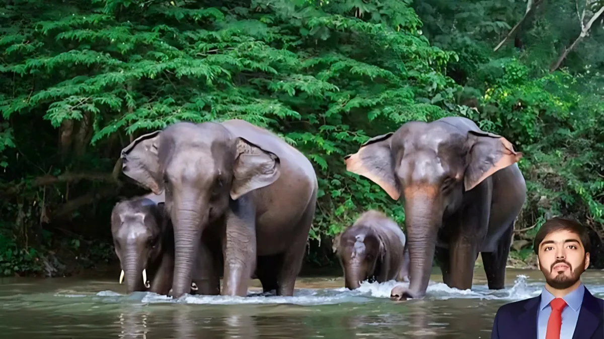 Vantara is the largest zoo in the world