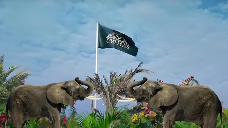 Vantara Animal Rescue Centre