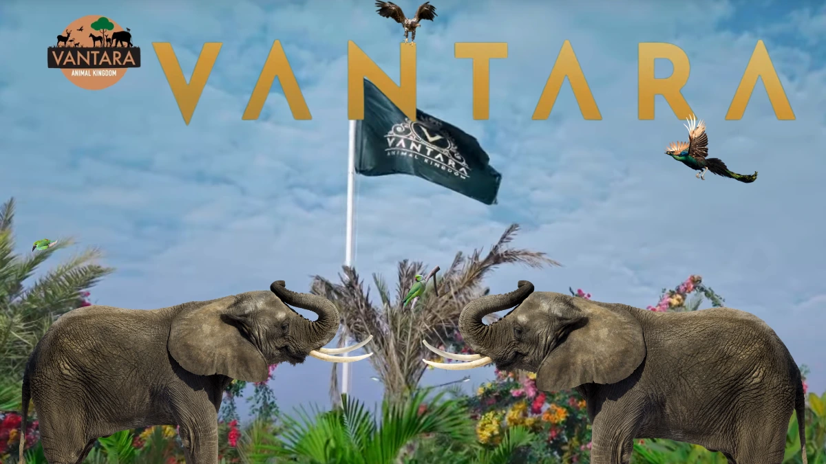 Vantara Animal Rescue Centre