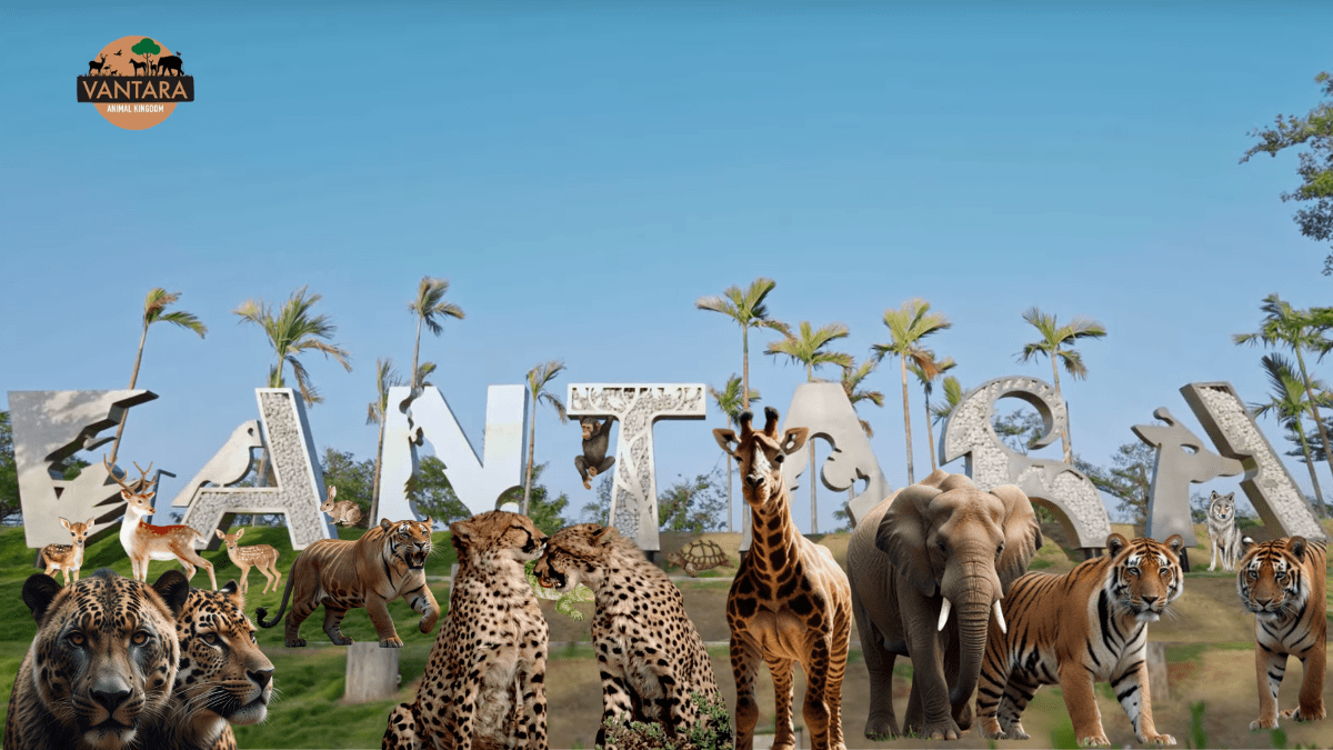 Reliance Vantara Zoo Jamnagar