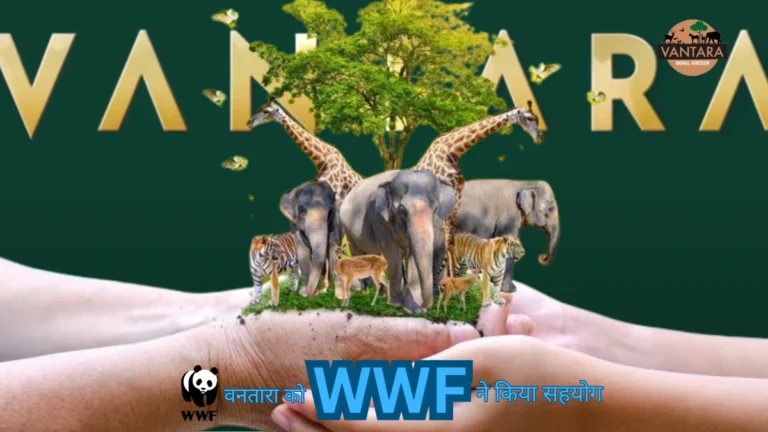 vantara zoo