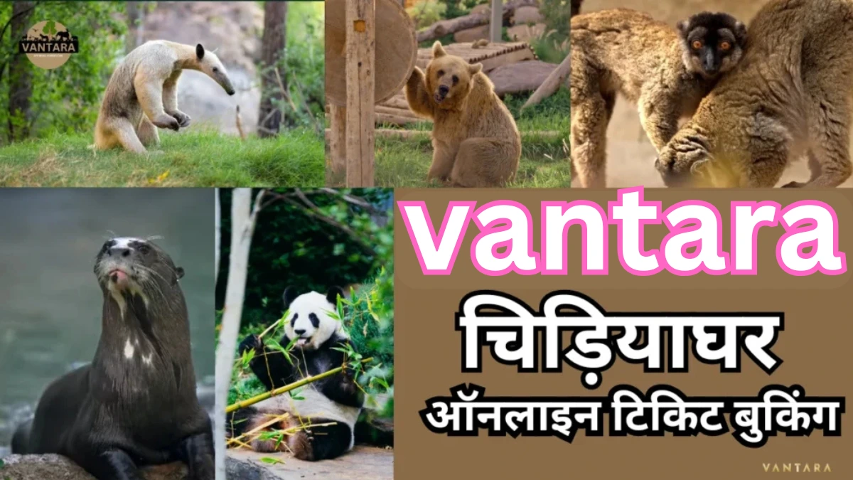 vantra jamnagar zoo online ticket booking