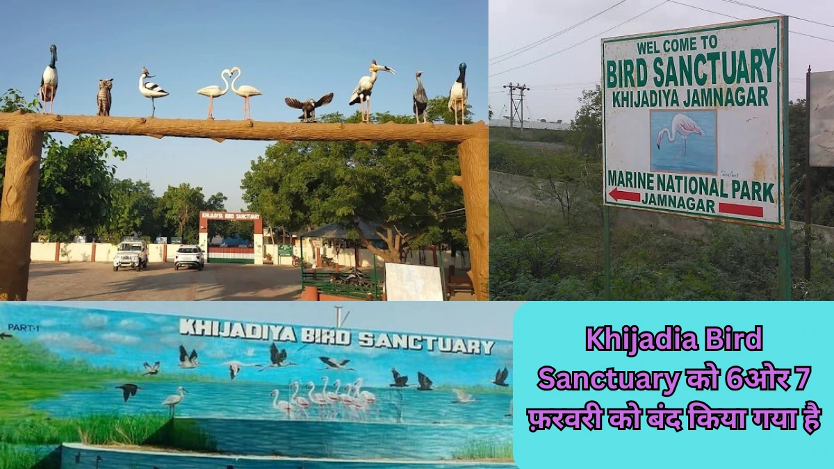 Khijadia Bird Sanctuary