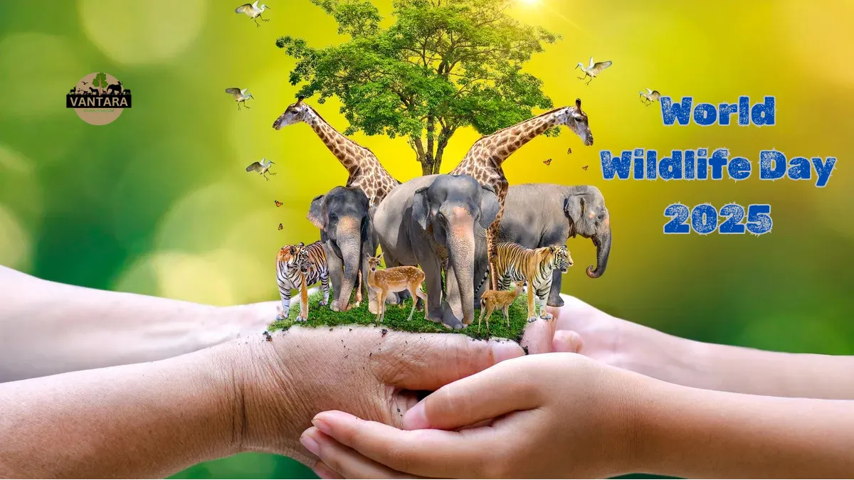 World Wildlife Day 2025