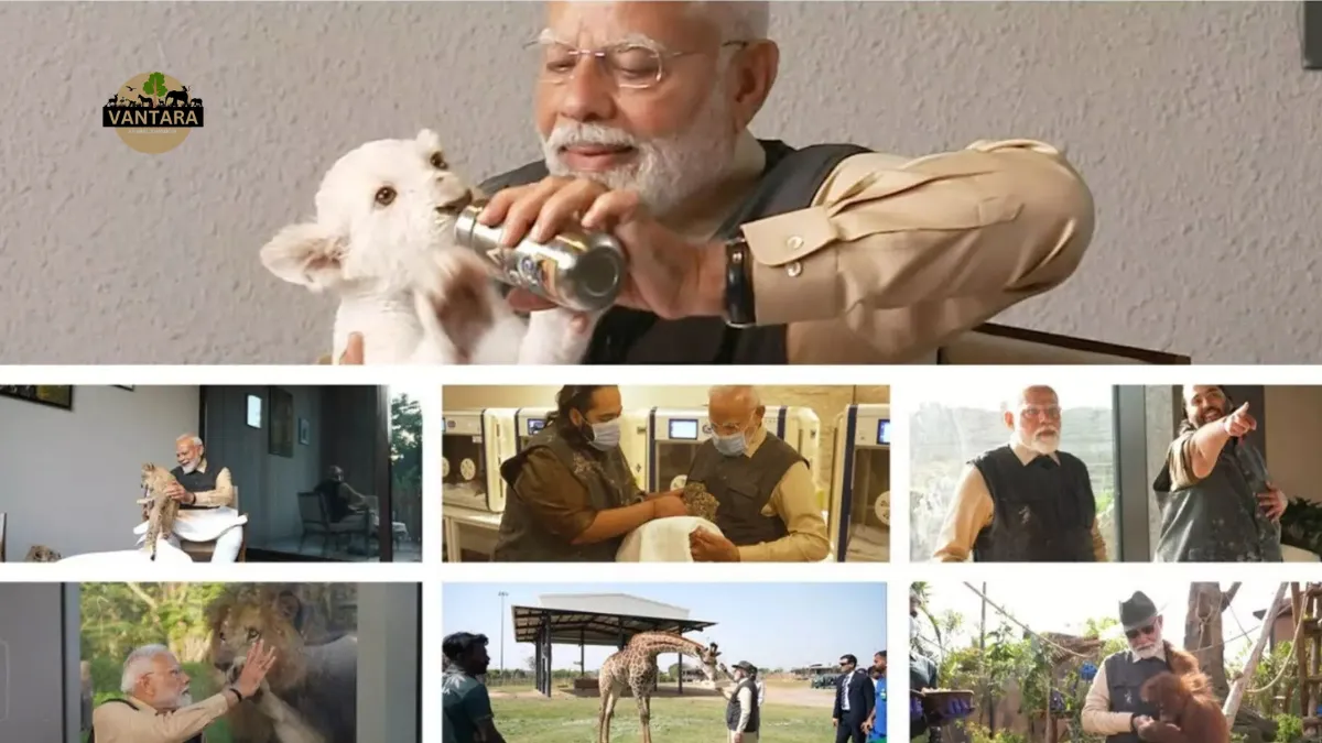 PM Narendra Modi visits Vantara zoo in Jamnagar