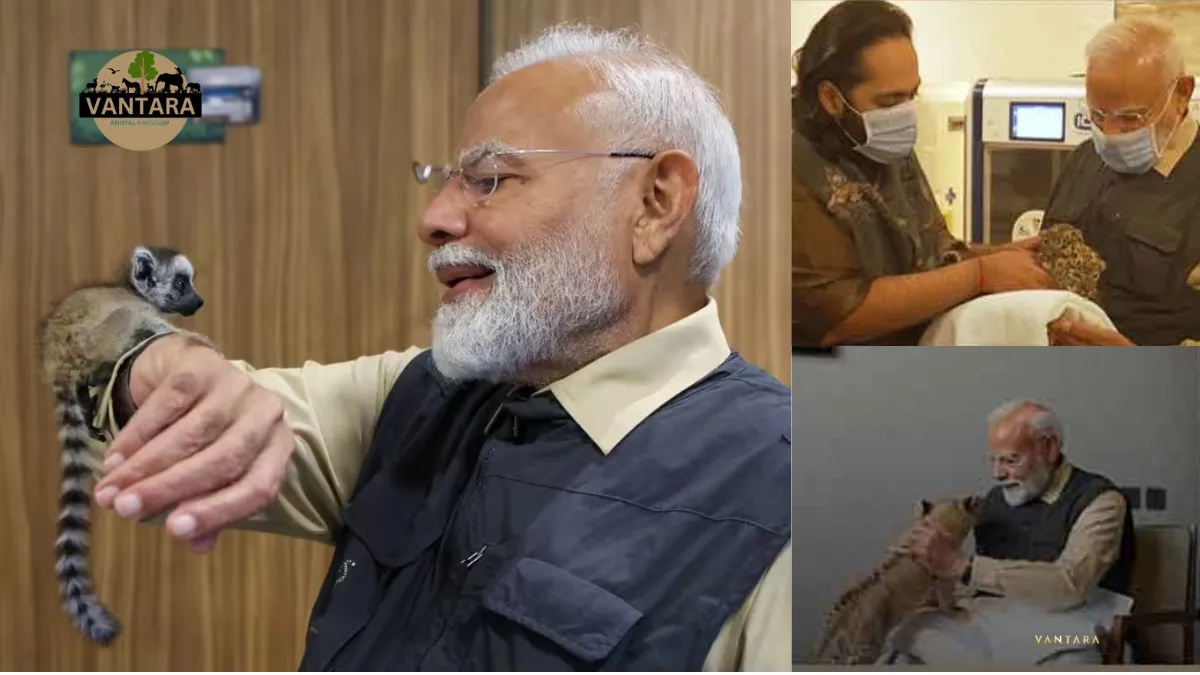 PM Narendra Modi visits Vantara zoo in Jamnagar