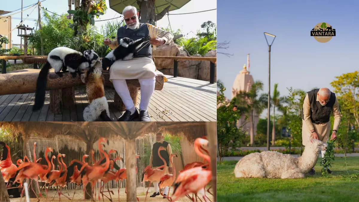 PM Modi in Vantara Jamnagar