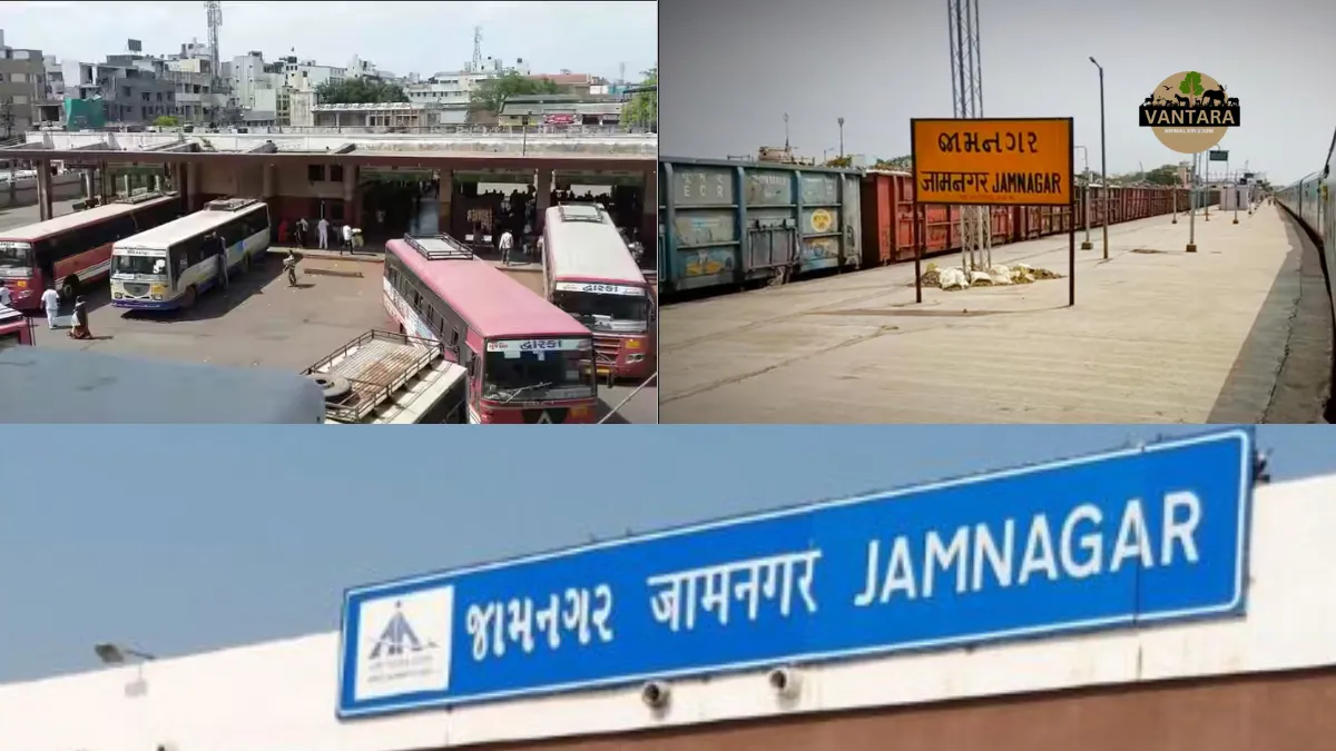 how to visit vantara jamnagar