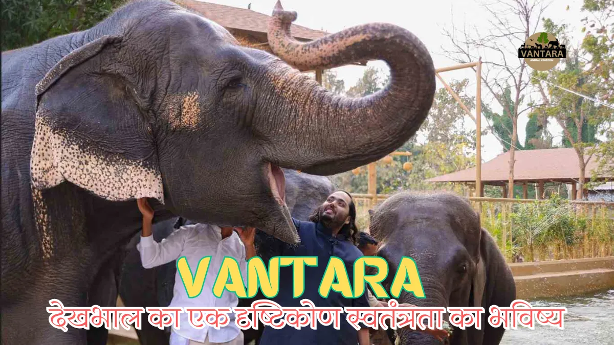Vantara Animal Rescue Center