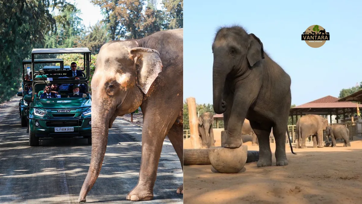 Vantara Animal Rescue Center