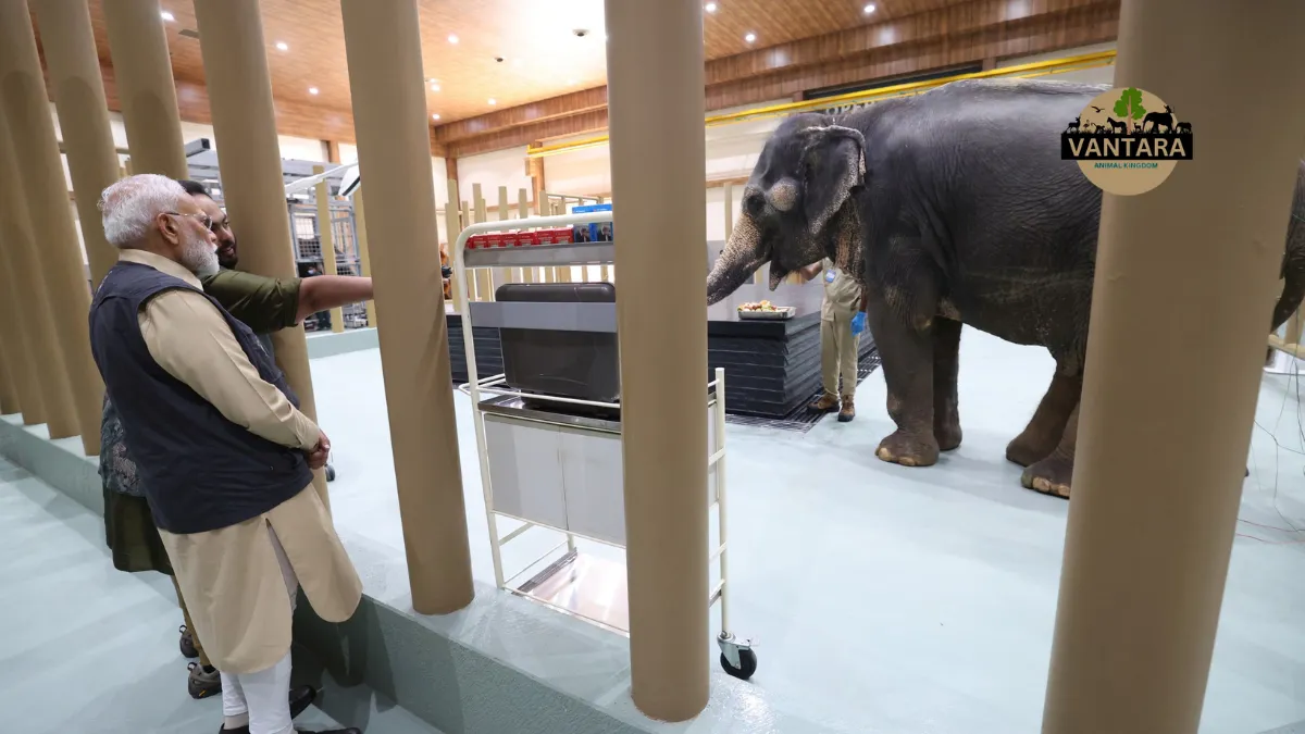 Vantara Animal Rescue Center