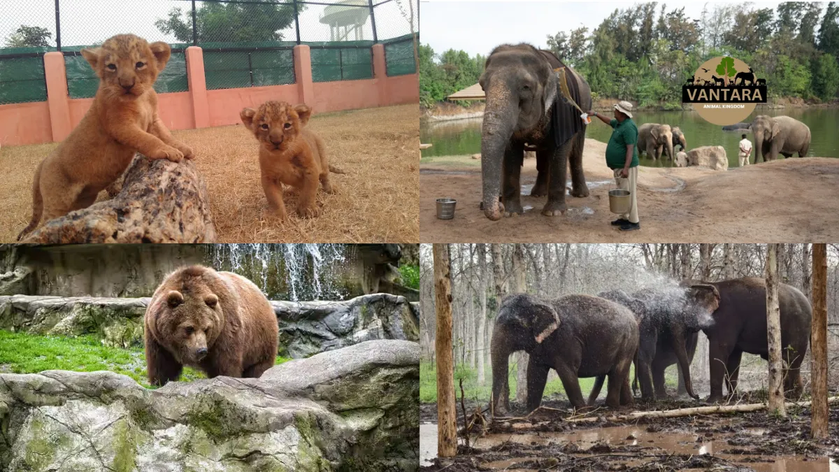 Vantara Animal Rescue Center