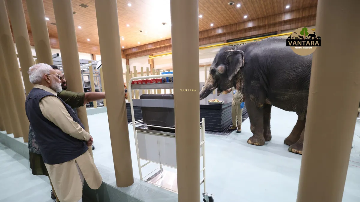 vantara zoo jamnagar