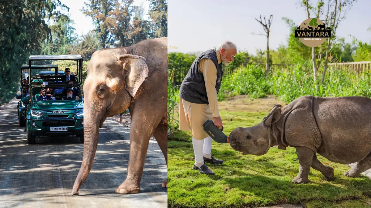 vantara zoo