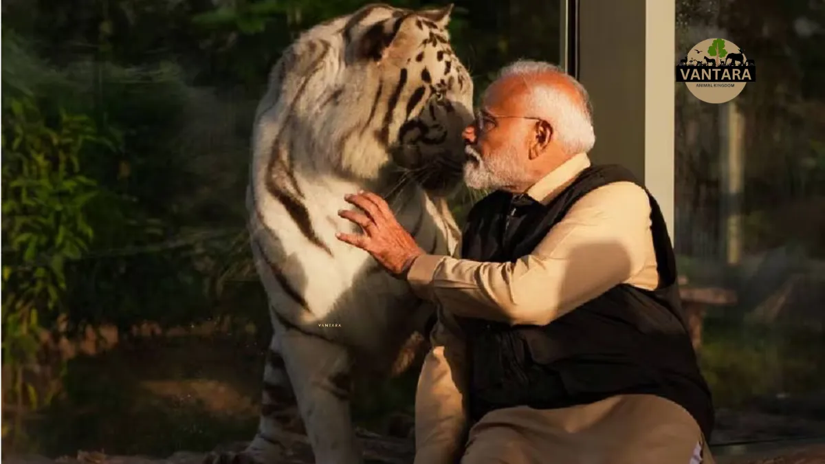 vantara zoo jamnagar