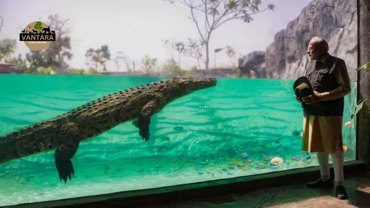 vantara zoo jamnagar