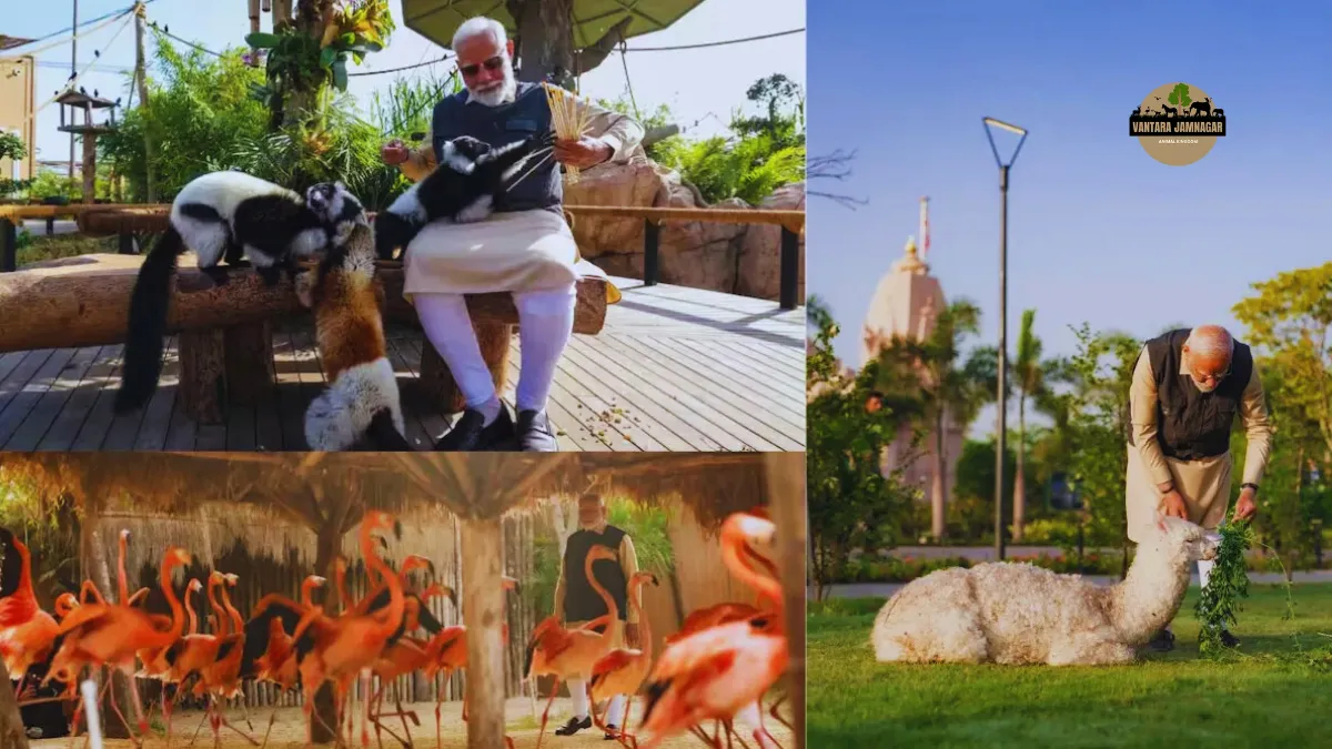 PM Modi in Vantara Jamnagar