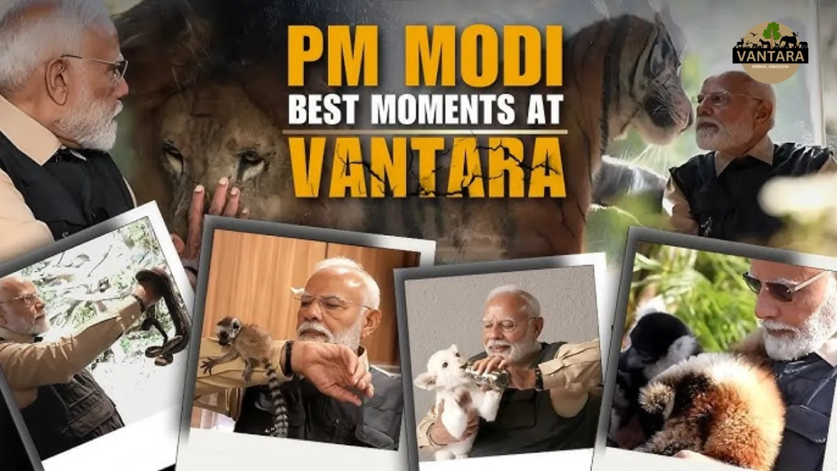 What did Anand Mahindra say about Vantara