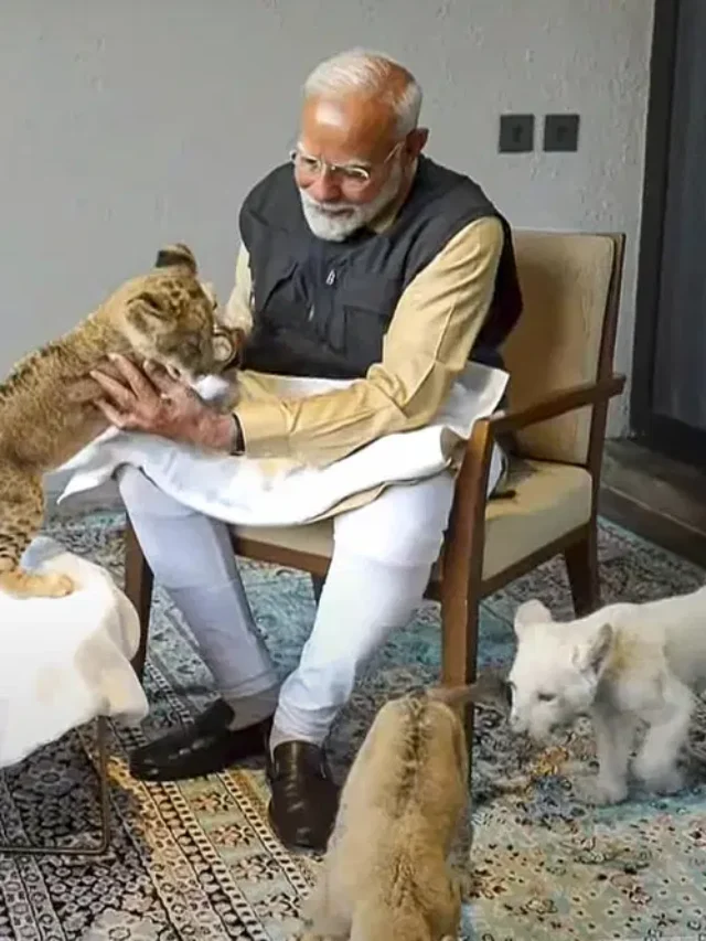 प्रधानमंत्री नरेंद्र मोदी ने वनतारा मैं शेर शावकों संग बिताए अनमोल पल