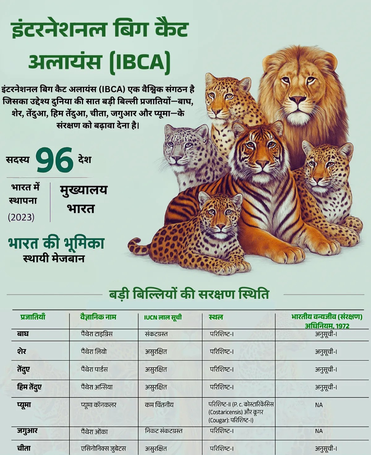 IBCA headquarters in India