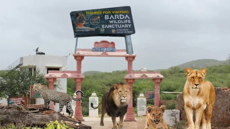 Barda Wildlife Sanctuary