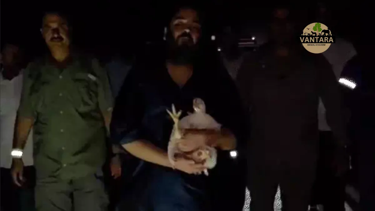 Anant ambani padyatra latest update