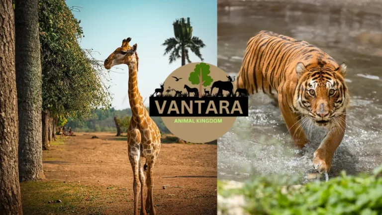 What is inside Vantara Wildlife Center