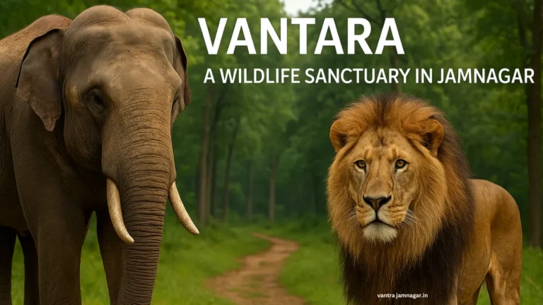 Vantara Reliance