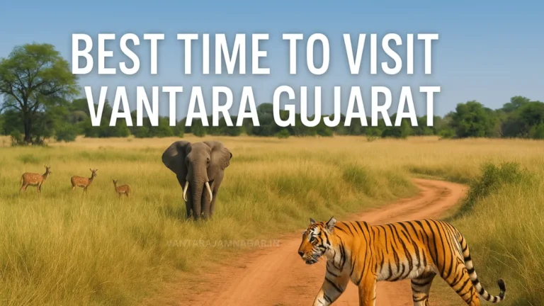 Best Time to Visit Vantara Gujarat
