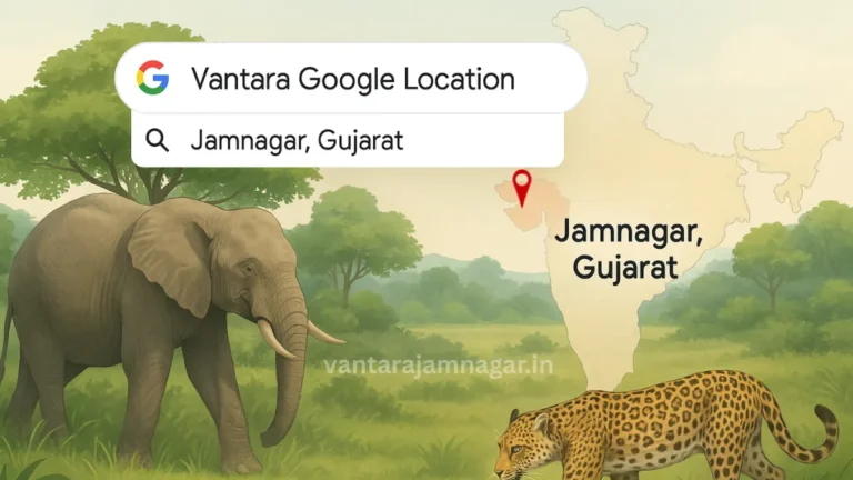 Vantara Google Location