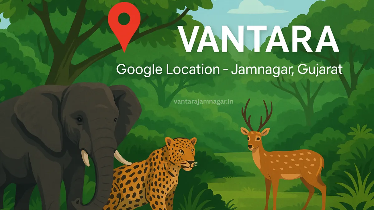 Vantara Google Location