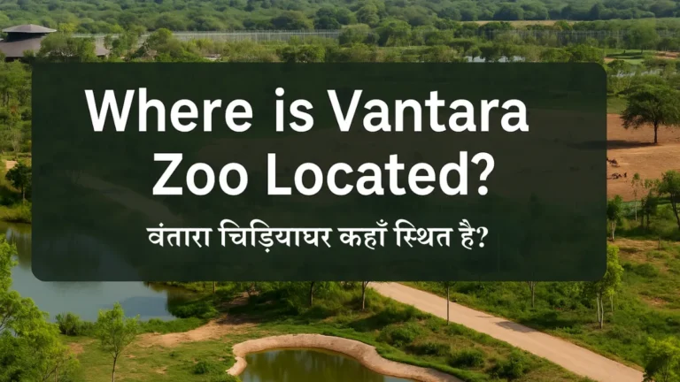 Where is Vantara Zoo Located