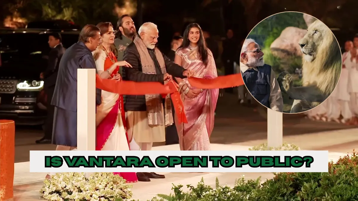 Is Vantara Open to Public