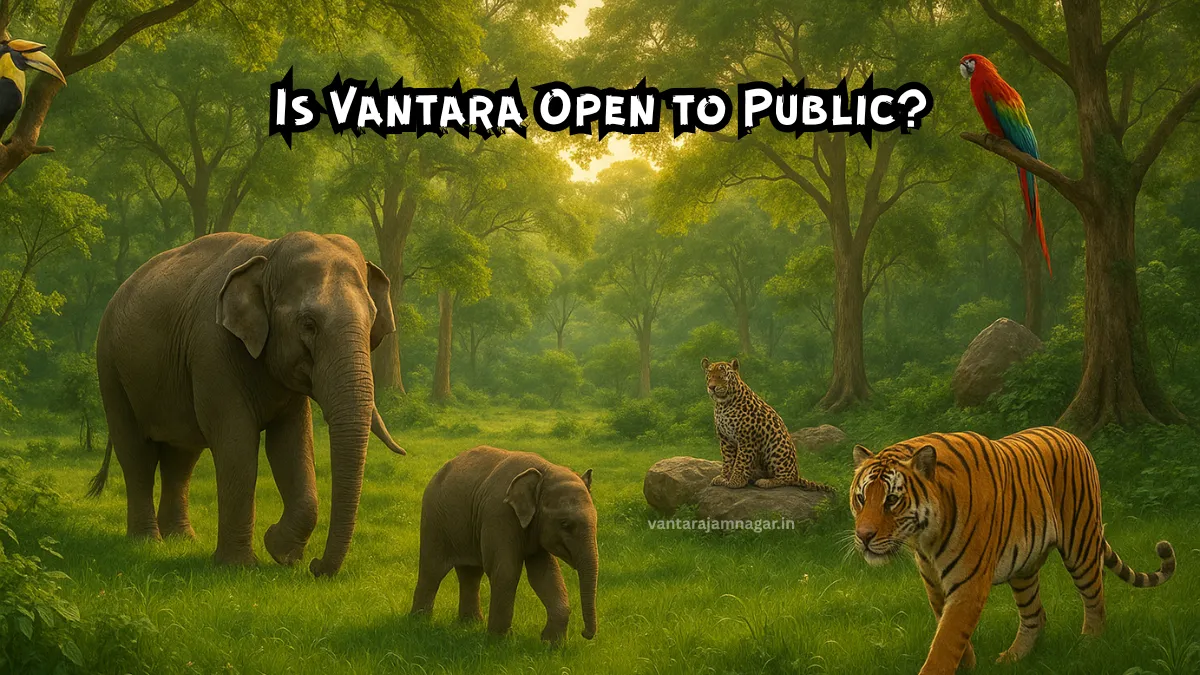 Is Vantara Open to Public