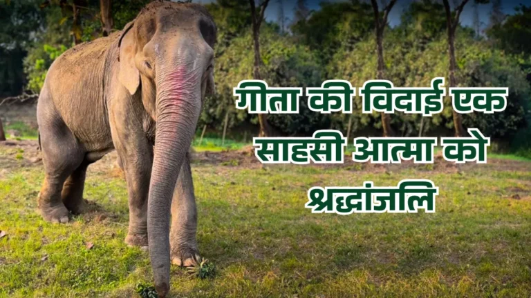 गीता की विदाई