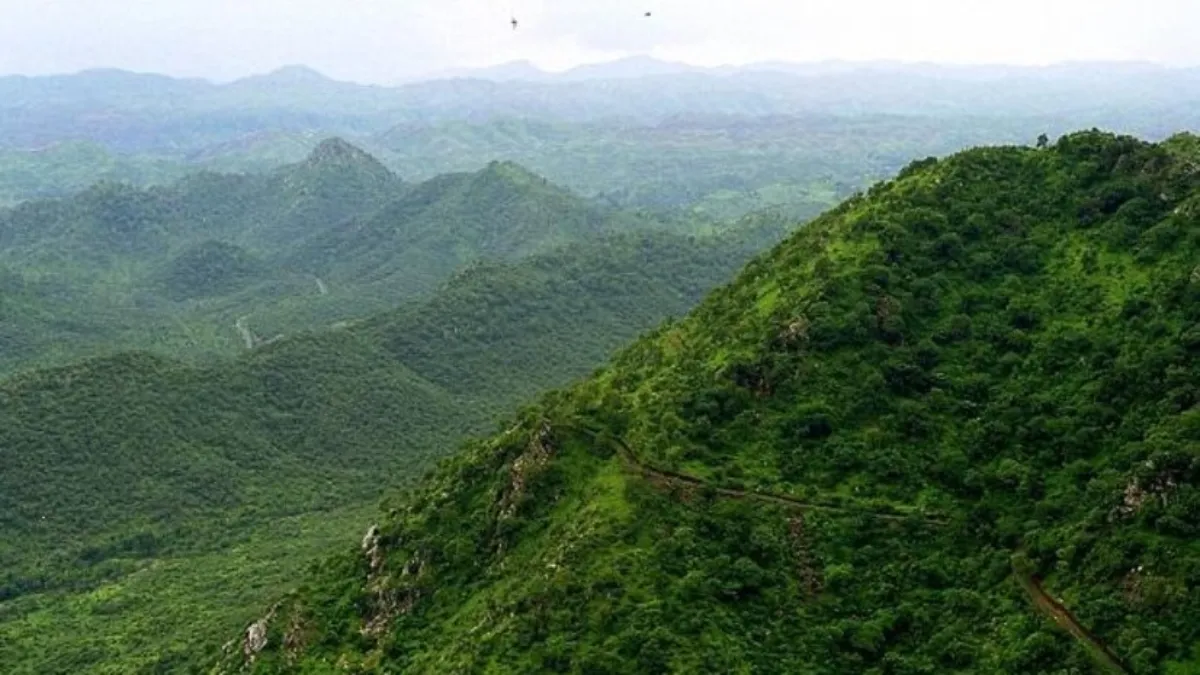 Green Wall