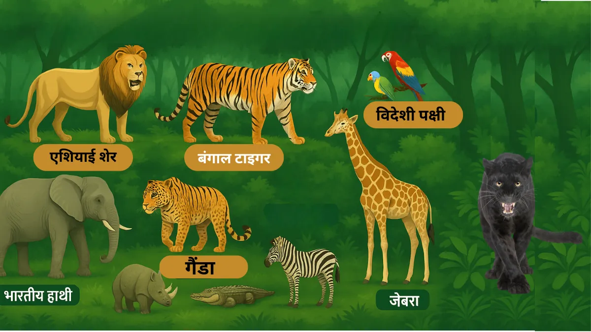 Vantara Jamnagar Animals List 2025