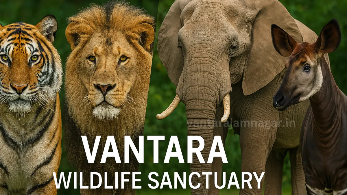 Vantara Wildlife Sanctuary