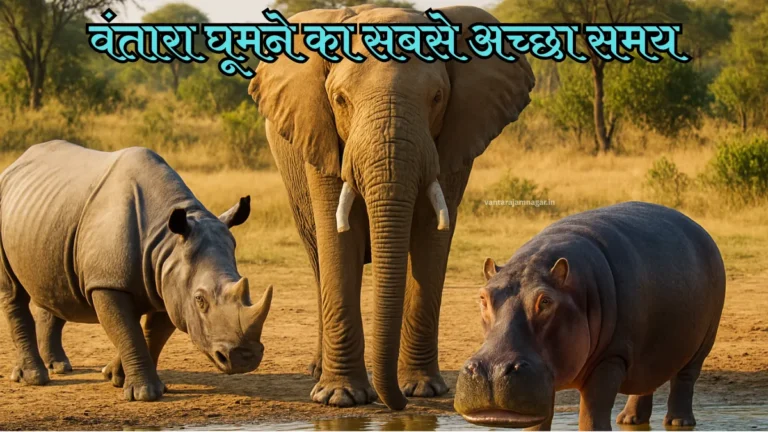 वंतारा घूमने का सबसे अच्छा समय