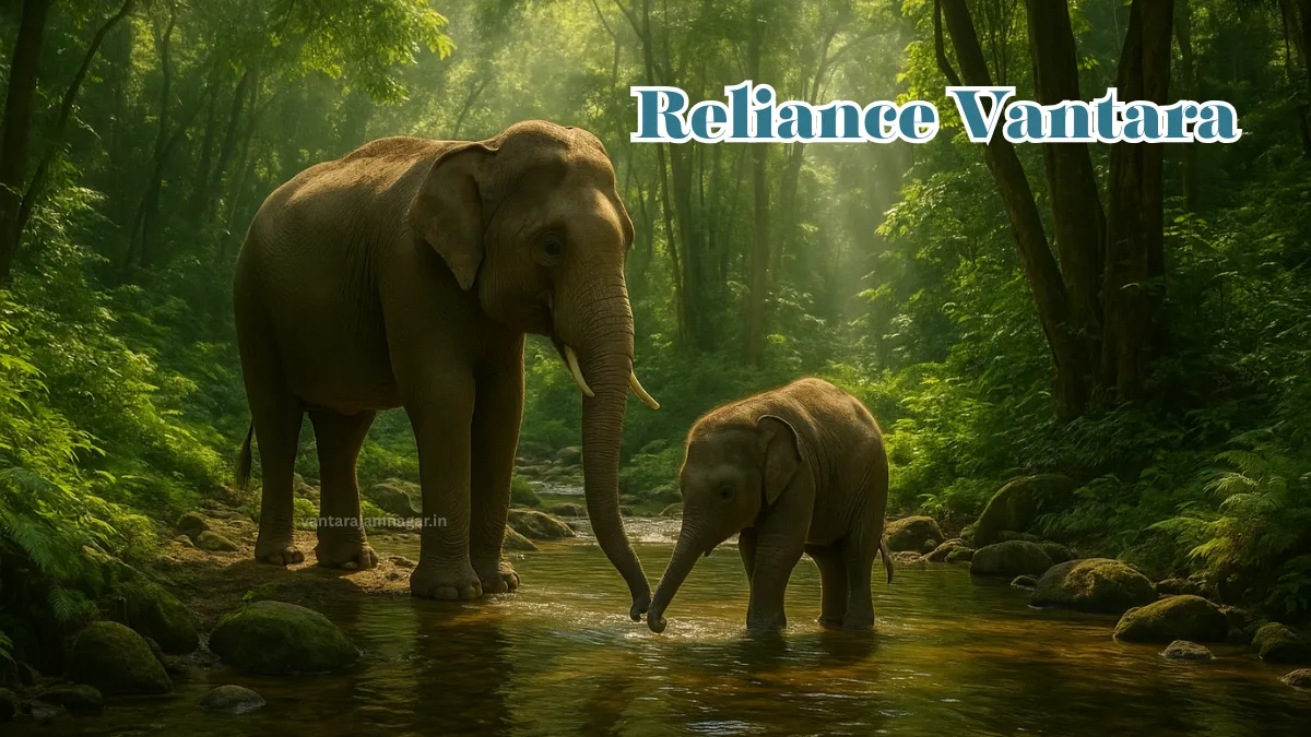 Reliance Vantara