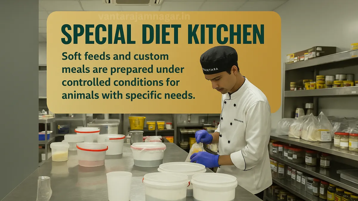 Vantara Nutrition Center