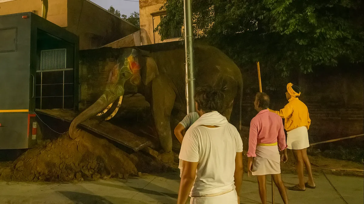 Vantara by Anant Ambani Assists Agitated Elephants During Ahmedabad Rath Yatra