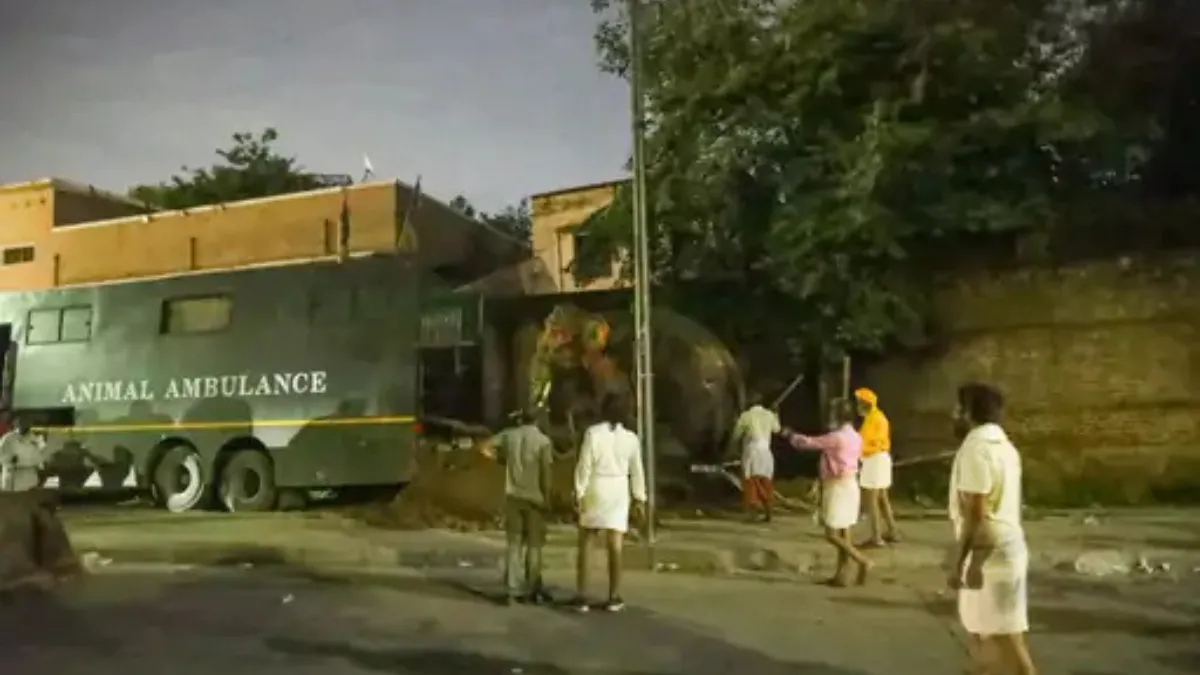 Vantara by Anant Ambani Assists Agitated Elephants During Ahmedabad Rath Yatra