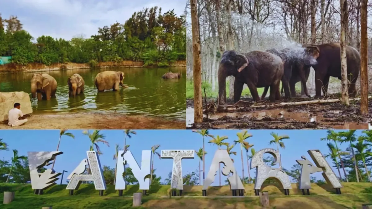 Vantara Animal Rescue India